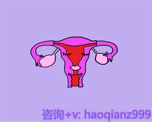 科学备孕男宝经验分享：从男性禁欲到助孕策略